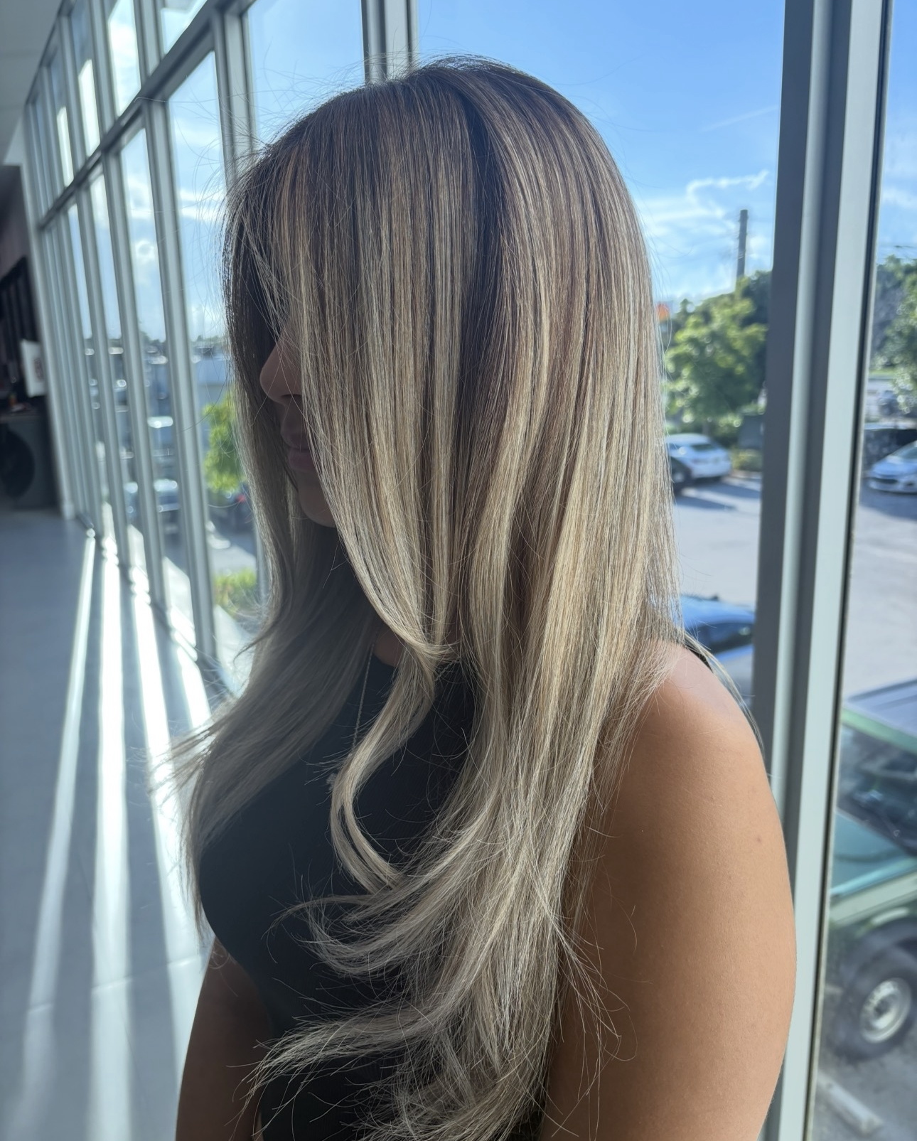 Balayage + Blow Out